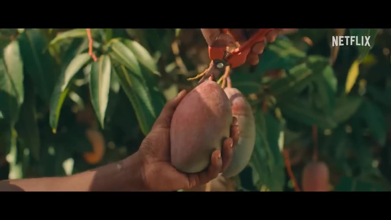 Mango | Official Trailer | Netflix