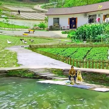 Wonderful rural countryside life 🤗🏝