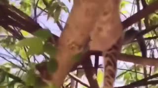 😌💤🕒 The Most Relaxing Routine You Need to See! | FunFM