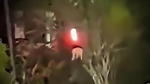 😱🚫 If You See This, Don't Touch It! | TheHauntingHour