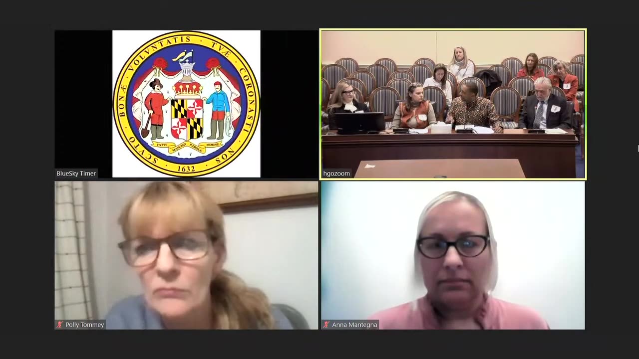 Mar 14, 2023 Ayo Kimathi Testifies for Informed Consent Bill