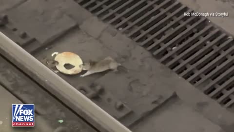 Live view of Hanukkah celebrations getting started