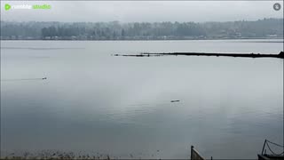 Cloudy, rainy and high tide