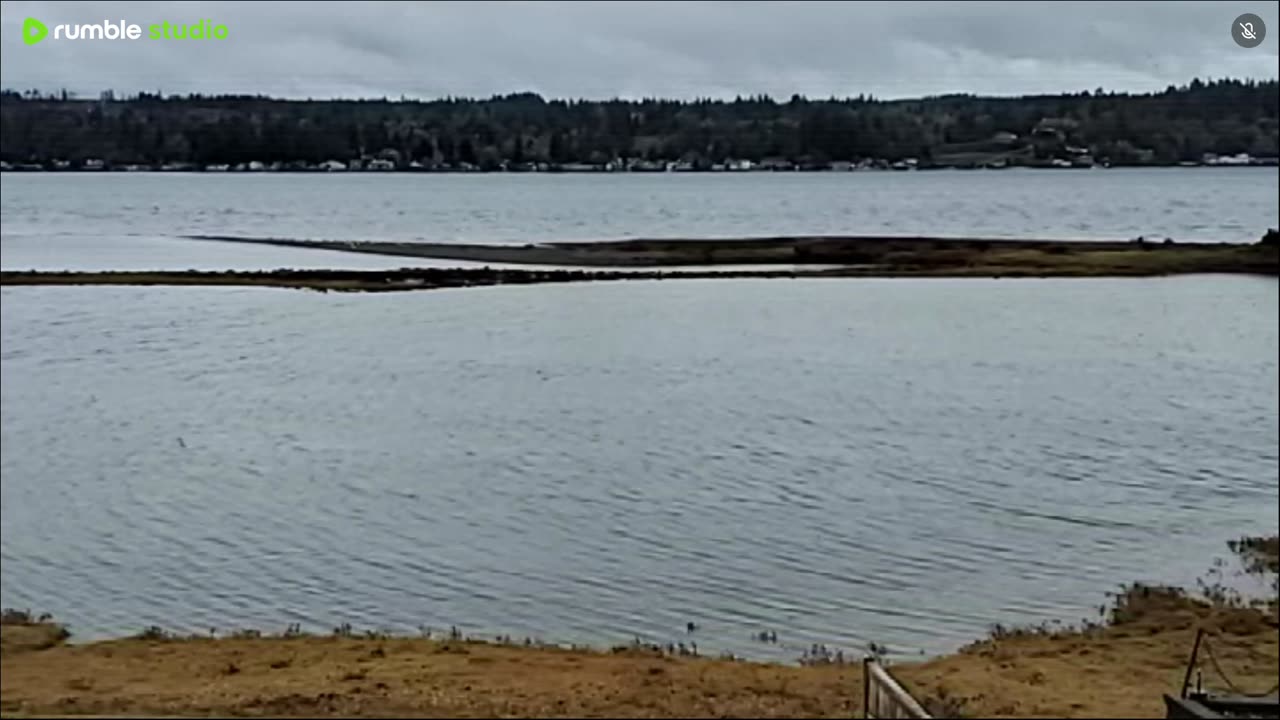 Cloudy, rainy and high tide