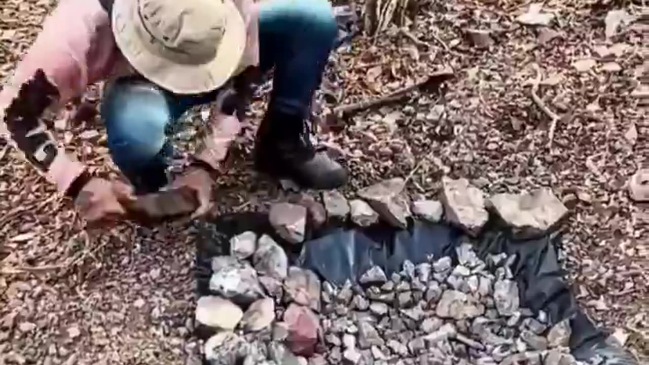 Helping nature is very valuable ..