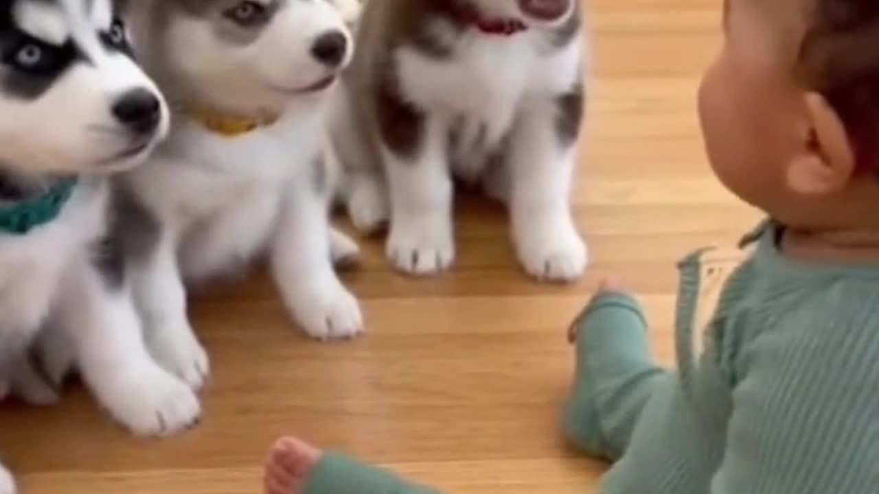 What are you guys talking about?