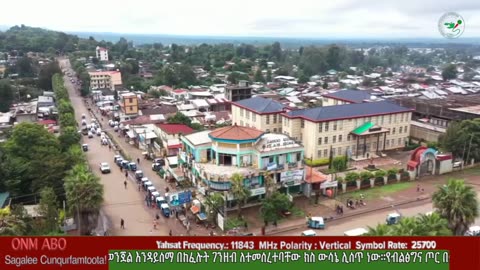 ጥር 4-2025 ONM-ABO እለታዊ የኦሮሞ ነፃነት ሰራዊትና የኦሮሚያ ውሎ!