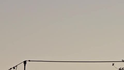 Rare Dual Space Debris Captured Over New York