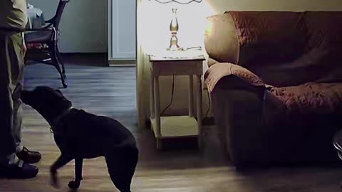 Just a girl and her Dog 🐶