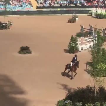 Spectacular Horseracing (Horses Majestic Animals)