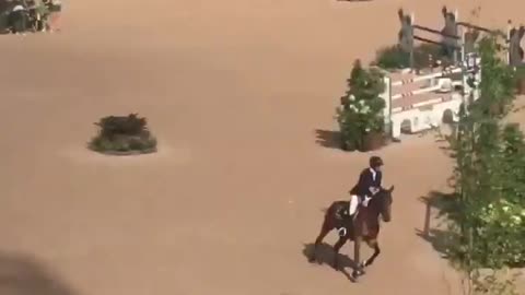Spectacular Horseracing (Horses Majestic Animals)