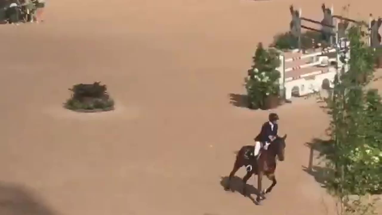 Spectacular Horseracing (Horses Majestic Animals)