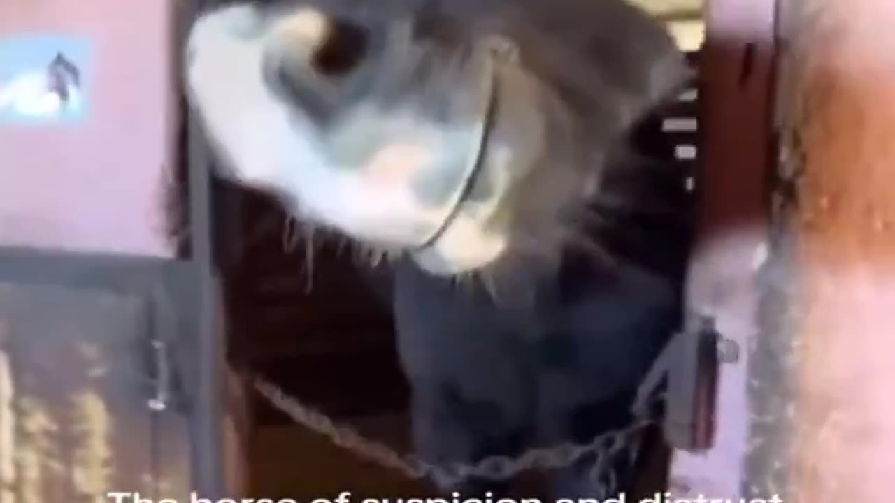 High Levels Of Distrust