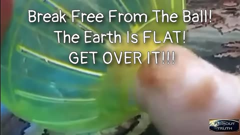 THE DIFFERENCE BETWEEN GLOBE EARTHERS & FLAT EARTHERS