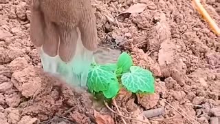 🤯✨ Satisfying Tools In Action! | FeedMyCuriosity