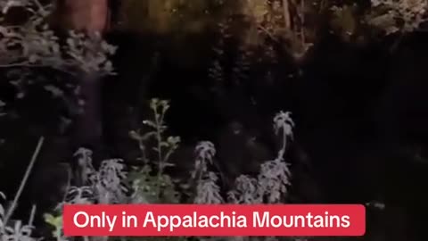 😱🤔 What Was That? - Unexplained Sighting! | TheHauntingHour