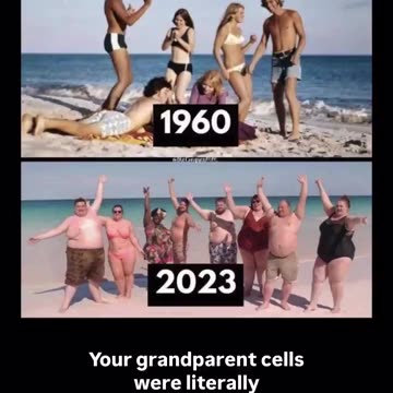 THE TRUTH ABOUT SEED OILS