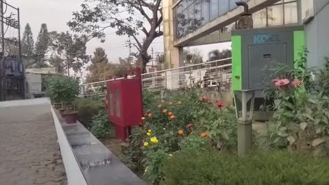 A Small Garden by the Office 🌱 | Peaceful Green Space at Work