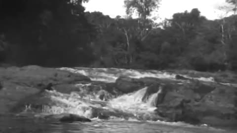 Ford Brazil - Ford Brazil - fc-fc-1811