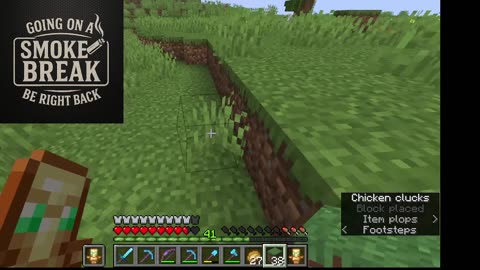 Minecraft And Mind Craft