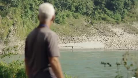 Killer Cat Fish ( Return ) Part