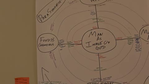 Lion Diet Sleep Optimization： Day 41 ~ I Explain The Poster