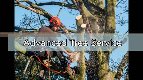 Advanced Tree Service