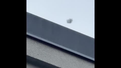 🌑🔍 Black Blob UFO Spotted in Multiple Locations? | TheTruthAbove