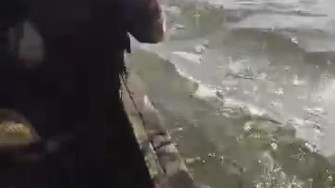 Absolutely Wild Footage of ISIS:West Africa Battling Boko Haram On Lake Chad