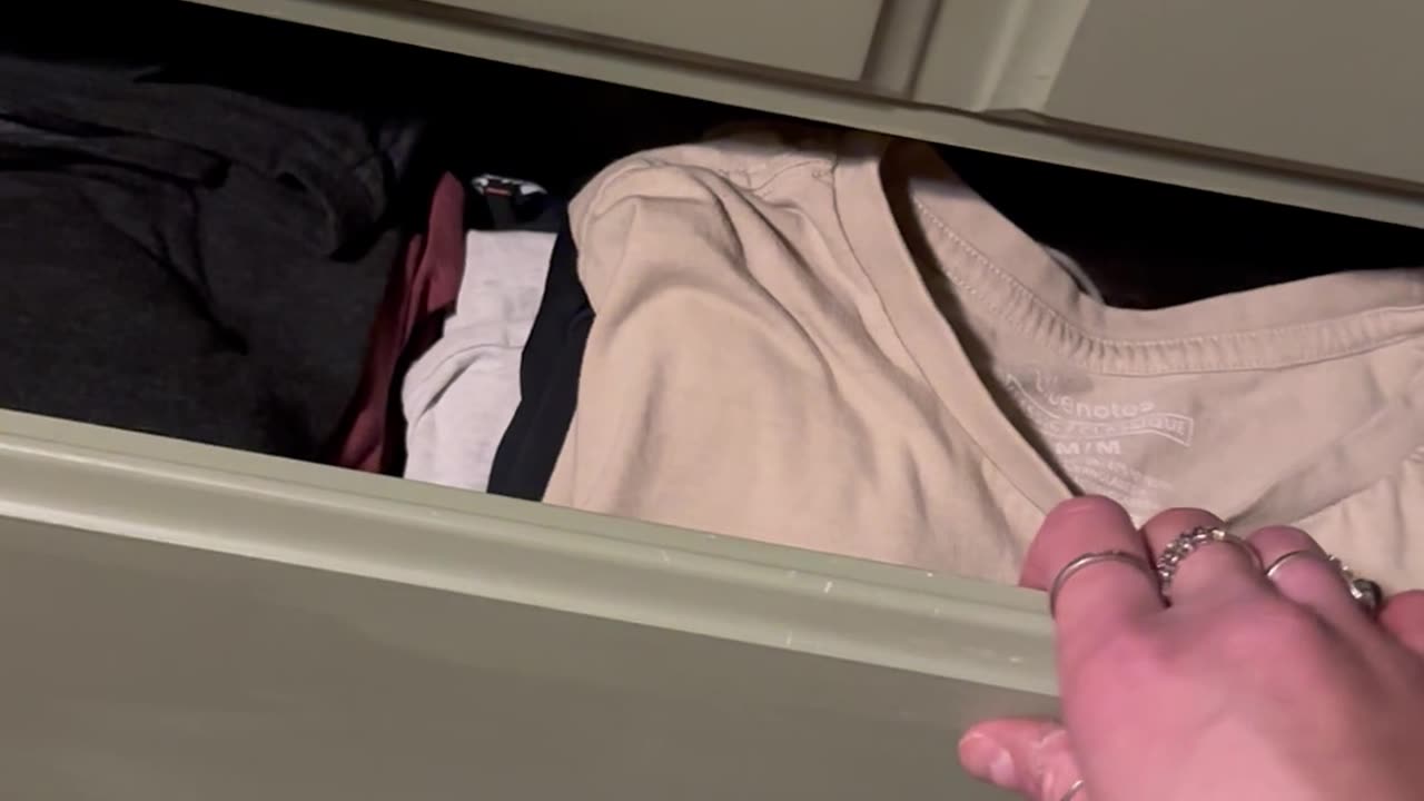 Missing Cat Found Sleeping In Drawer