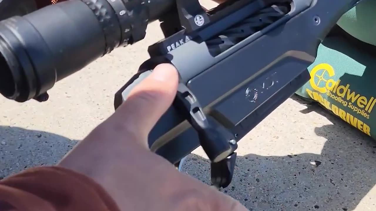 New Weatherby 307 Alpine MDT Carbon