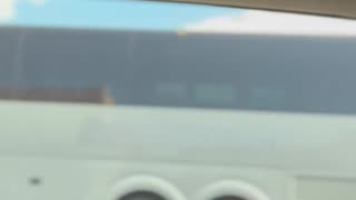 Busses are seen bringing in protesters for the No Kings Day Protest yesterday in Texas