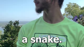 Fool A Snake