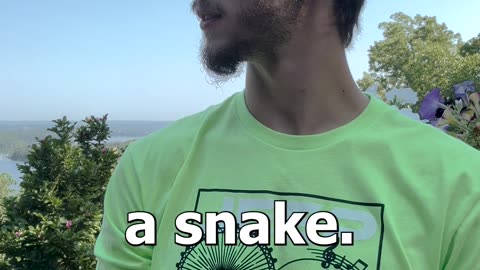 Fool A Snake
