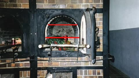 Auschwitz Surprising Hidden Truth