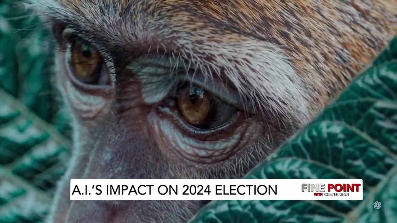 Fine Point - AI's Impact On 2024 Election - W/ Stephen Rowe, 12/30/24