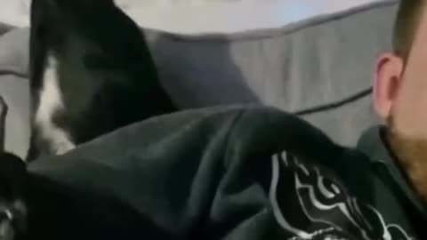 ))