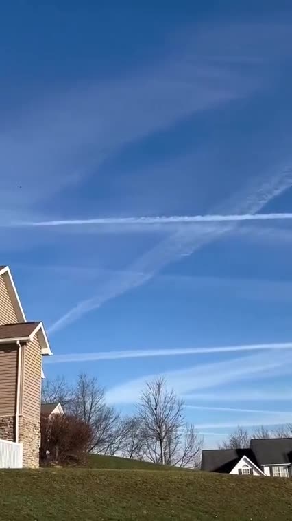 RUMOURED REPORTS THAT DOGE HAVE UNCOVERED 🌐 A MYSTERIOUS GOVERNMENT AGENCY CALLED B.O.T.S.