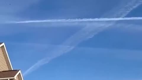 RUMOURED REPORTS THAT DOGE HAVE UNCOVERED 🌐 A MYSTERIOUS GOVERNMENT AGENCY CALLED B.O.T.S.