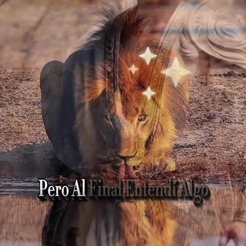 REFLEXIÓN ✨️ ✨️ ✨️ ✨️ ✨️ ✨️ ✨️ ✨️ ✨️