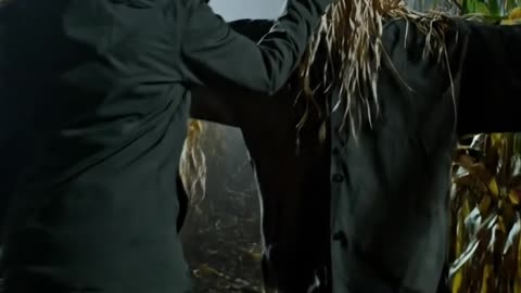Night in the Cornfield