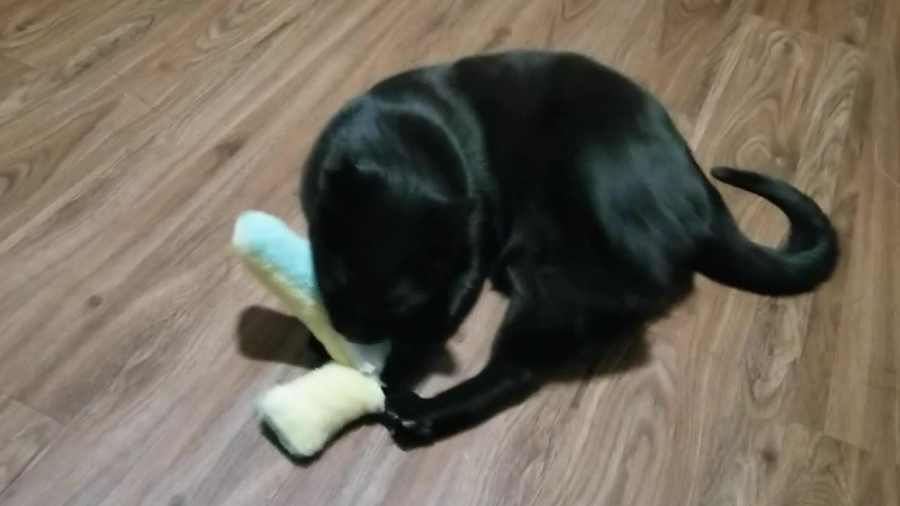 20250217 211038 Tux Sausage Toy Assault