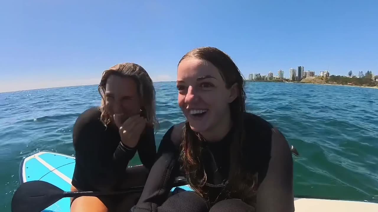 Whale Watching a Little Too Close