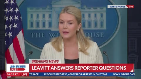 Leavitt snaps at questions about Trump's Epstein claims: 'We're moving on from that'