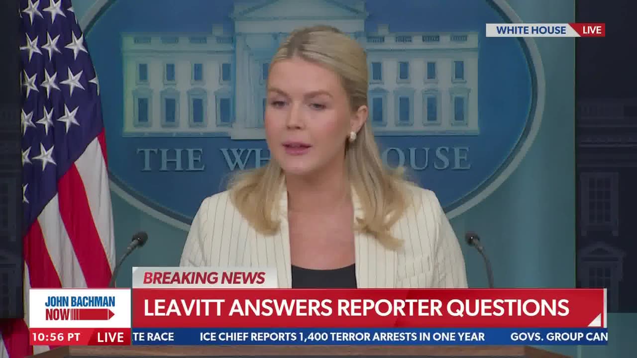 Leavitt snaps at questions about Trump's Epstein claims: 'We're moving on from that'