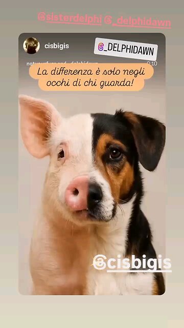 One Is Your Best Friend