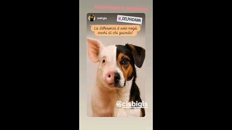 One Is Your Best Friend