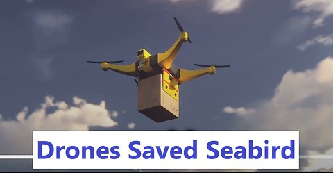 Drones Saved Seabirds: A Tech Triumph
