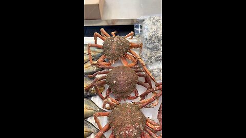 Giant crab display in Manchester, England ,UK