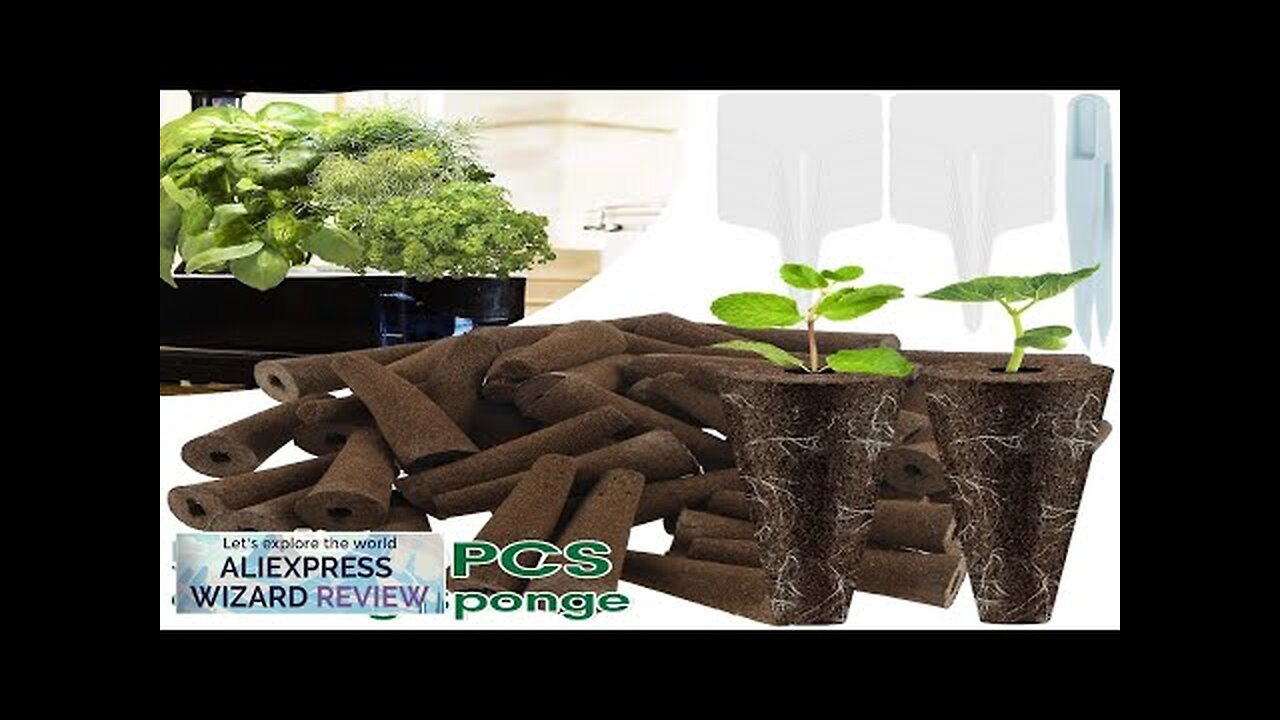 50Pcs Seed Grow Sponges Replacement Root Growth Sponges Professional Seed Starter Kit Review